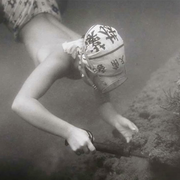 Research image 2